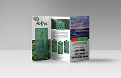 產(chǎn)品三折頁宣傳冊印刷